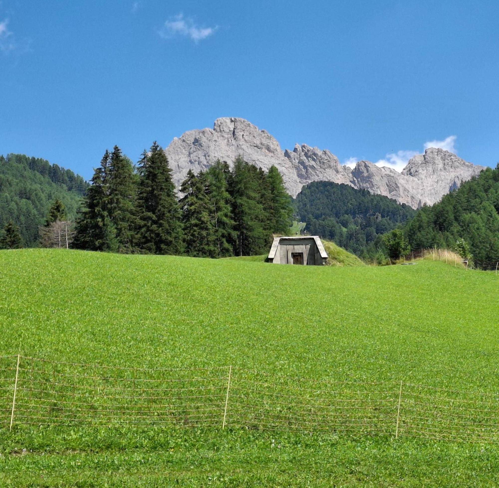 Villa Sella Selva di Val Gardena Zewnętrze zdjęcie